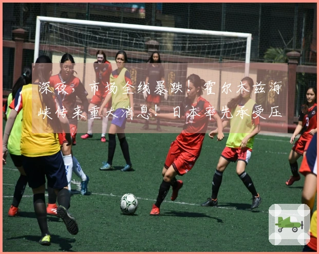 深夜，市场全线暴跌！霍尔木兹海峡传来重大消息！日本率先承受压力